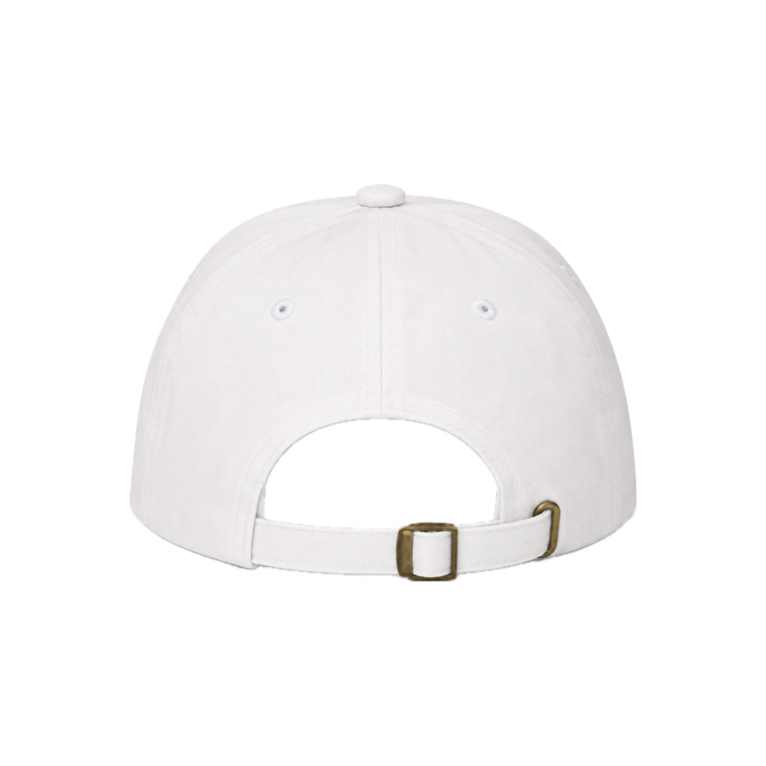 SABER White Hat